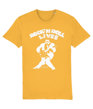 Load image into Gallery viewer, Chuck Berry-1972 Wembley Rock n Roll Show-GAS T Shirts-RnR01